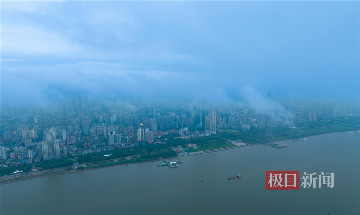 五龙争霸在线下载